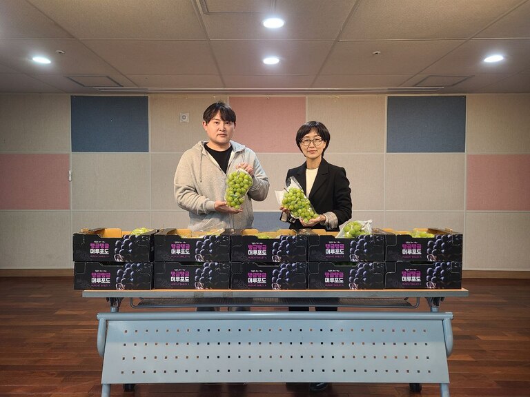 [복지관소식] 통신톡(김우성대표) 경주시장애인종합복지관 찾아, 지역장애인의 건강한 간식을 제공을 위해 샤인머스켓과 마카롱 후원전달