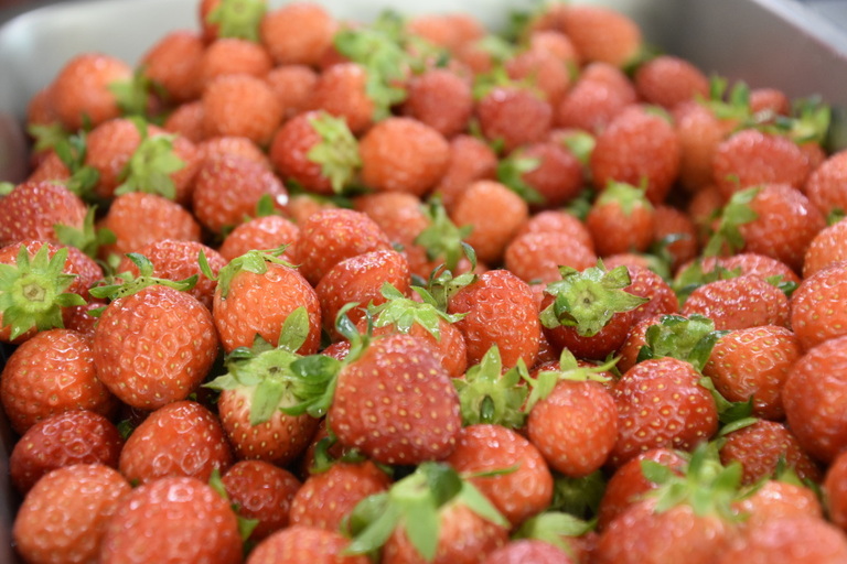 [후원소개] 삼월애 딸기농원(대표 박정현)에서 복지관 이용자분들을 위해 딸기 10박스를 후원해주셨습니다. 