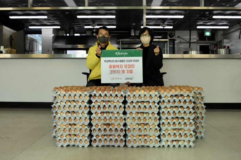 사회적기업 킹스파머스, 경주시장애인종합복지관 찾아 동물복지 유정란 140판(총4200개) 후원전달